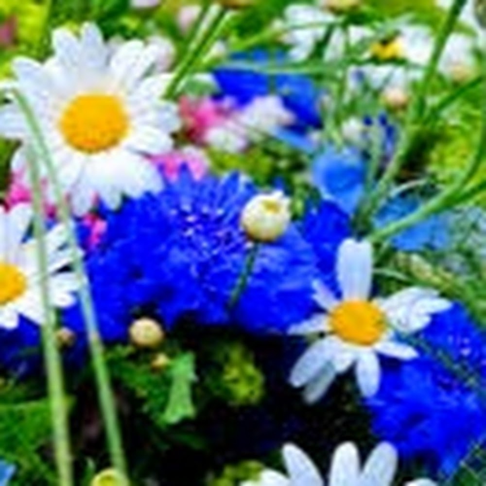 Meet your Posher, Karolyn